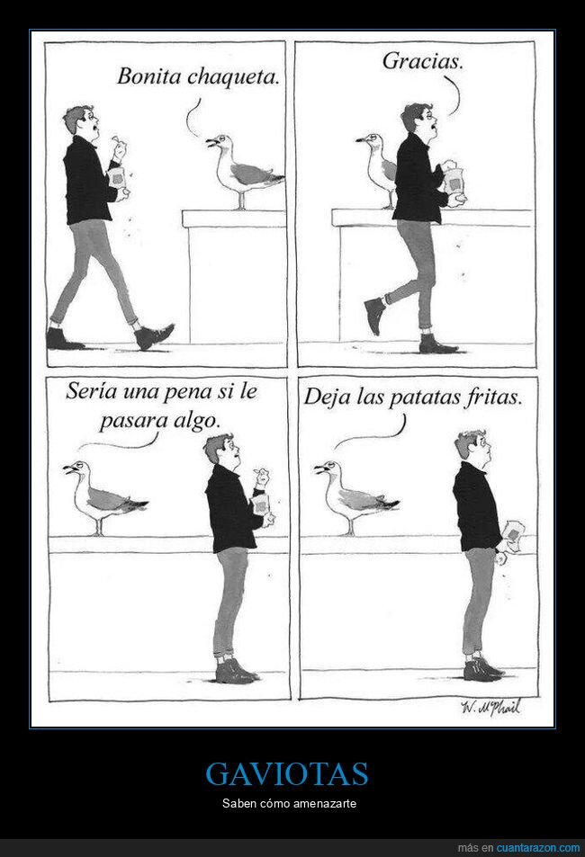 gaviota,patatas,gratitud,robo,playa