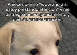 Enlace a Cuando la consciencia te sabotea