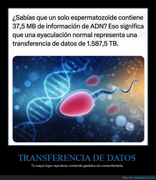 gen&eacute;tica,reproducci&oacute;n,biolog&iacute;a,data,esperma
