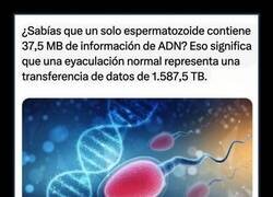 Enlace a Qué se supone que debo hacer con esta información