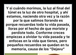 Enlace a Vivir en bucle, morir en bucle