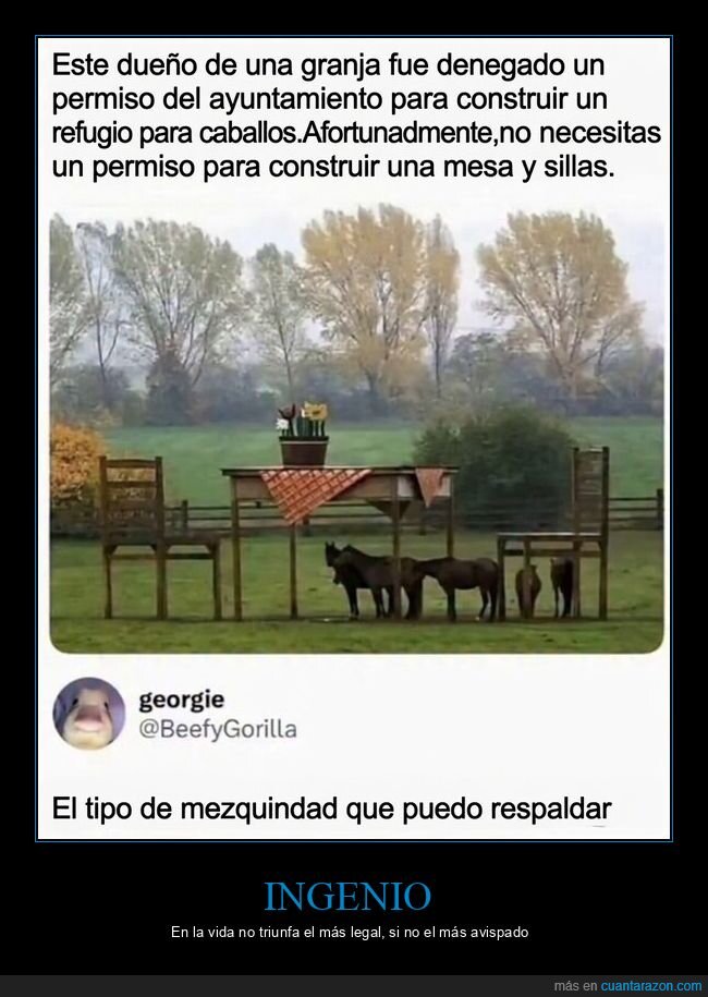 permiso,caballo,burocracia,ingenio,granja