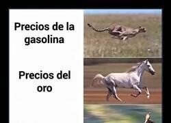 Enlace a Nuestra velocidad de progreso