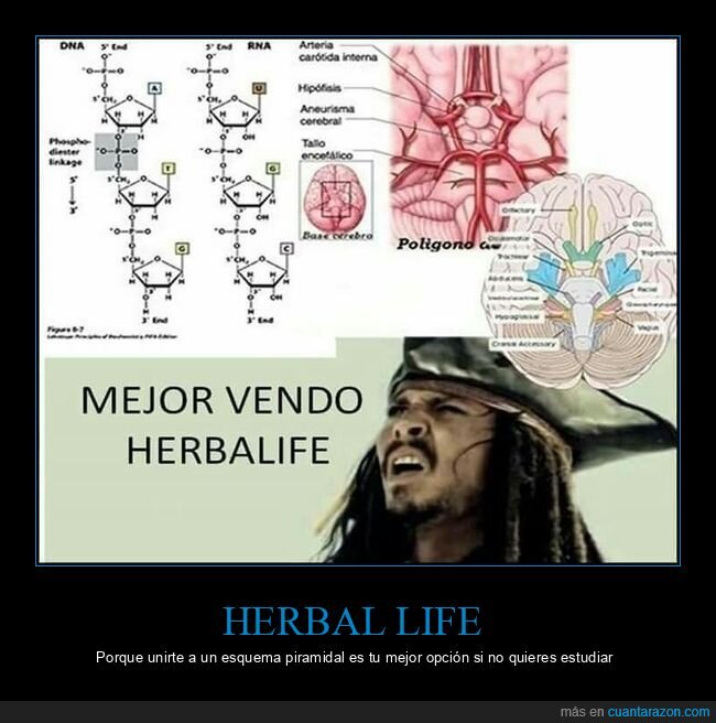 Herbalife,estafa,pseudociencia,pir&aacute;mide,fraude