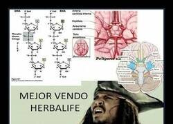 Enlace a El que vale, vale, y el que no, Herbal Life