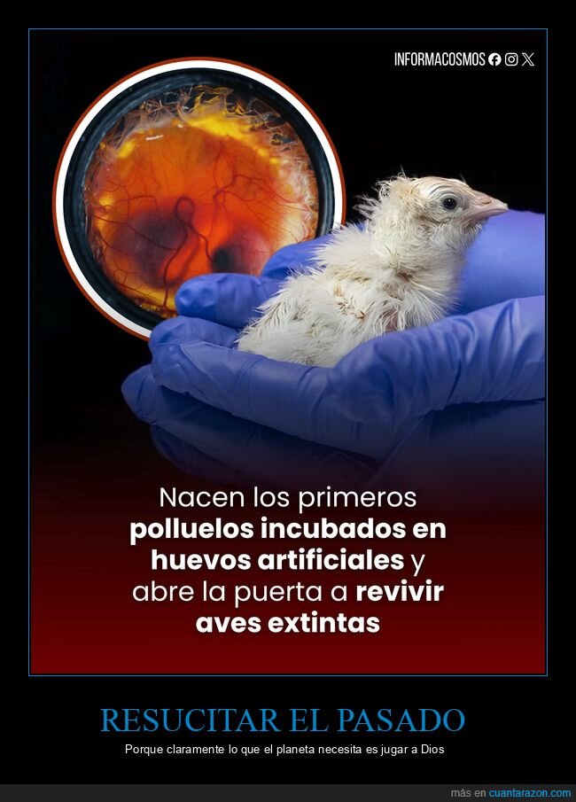 biotecnolog&iacute;a,extinci&oacute;n,ingenier&iacute;a gen&eacute;tica,dodo,ciencia