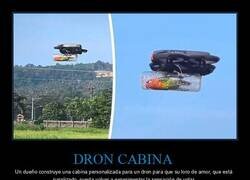 Enlace a Este loro vive en el futuro
