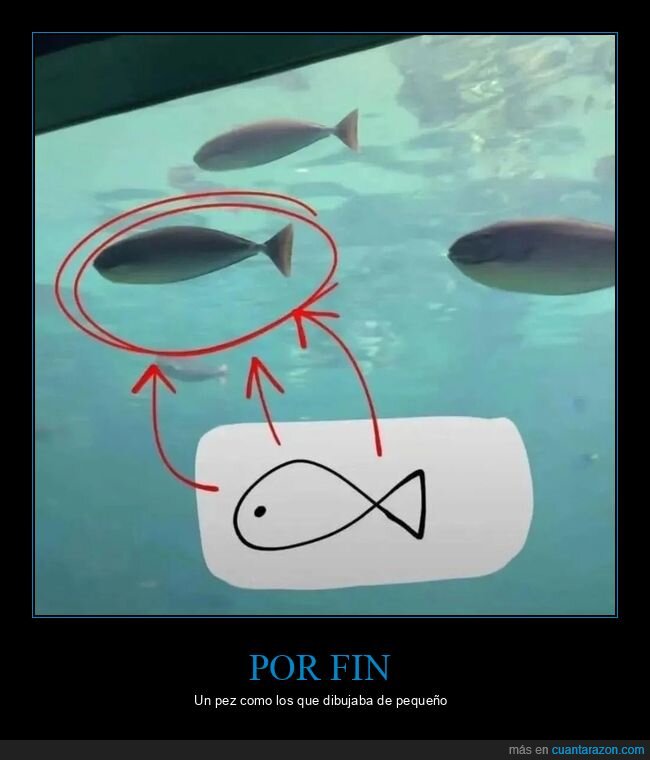 peces,dibujo,infancia,realidad,decepci&oacute;n