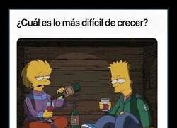 Enlace a La responsabilidad de verlos caer