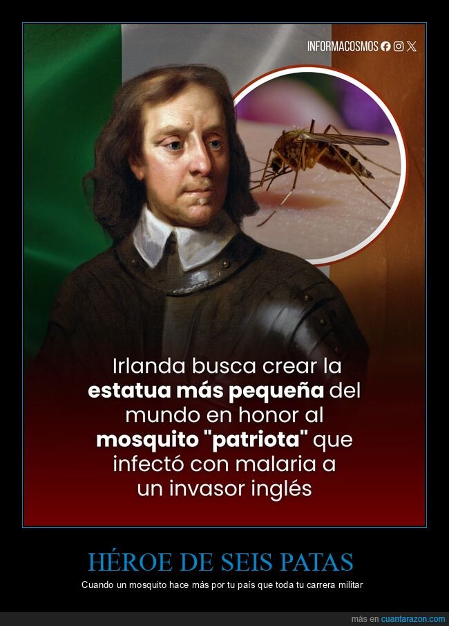 Irlanda,Cromwell,mosquito,estatua,historia