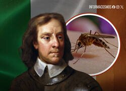 Enlace a Cromwell perdió contra un mosquito