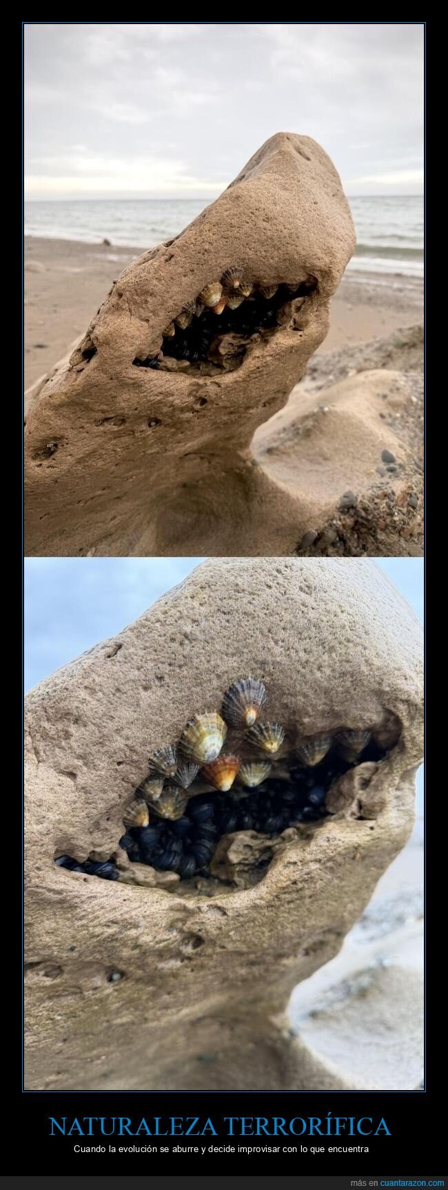 Naturaleza,Geolog&iacute;a,Absurdo,Evoluci&oacute;n,Terror&iacute;fico