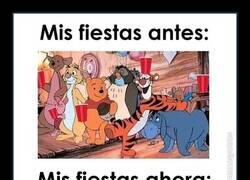 Enlace a Las fiestas me han domado