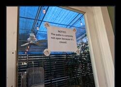 Enlace a NOTA: El patio no está actualmente abierto porque está cerrado