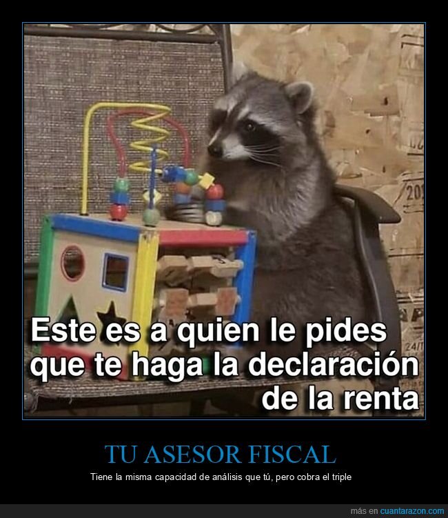 impuestos,incompetencia,asesor,burocracia,realidad