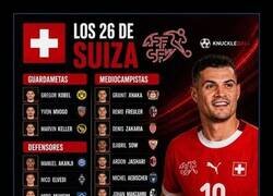 Enlace a Mucho ánimo a Suiza