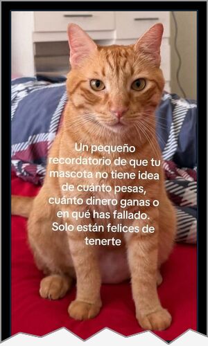 Mejor cartel de ayer