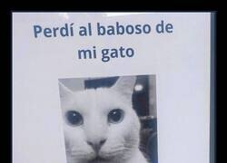 Enlace a Está de parranda