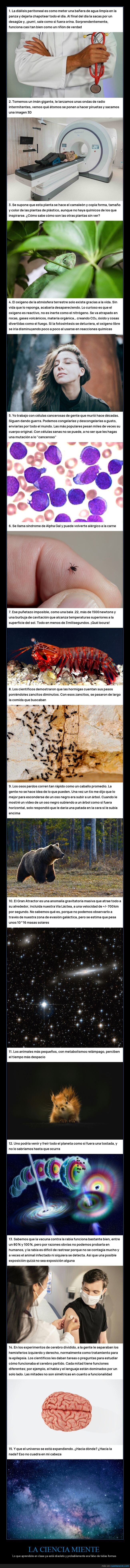 ciencia,hechos,enga&ntilde;o,realidad,conocimiento