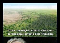 Enlace a Cuando Africa inventa la solución y nadie le da bola