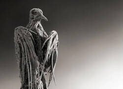 Enlace a Lago Natron, Tanzania. El agua es tan alcalina que calcifica a los animales, convirtiéndolos en estatuas similares a piedra