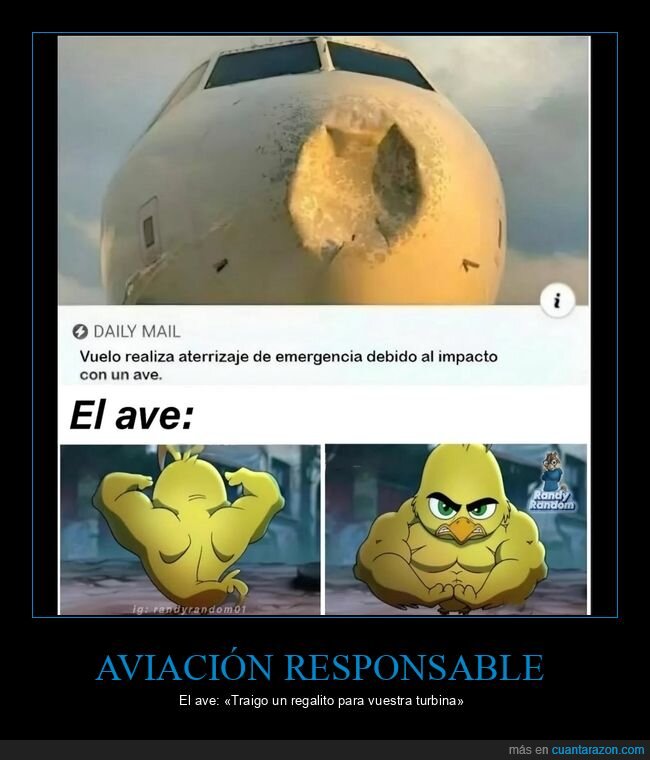 aviaci&oacute;n,p&aacute;jaros,impacto,emergencia,desastre