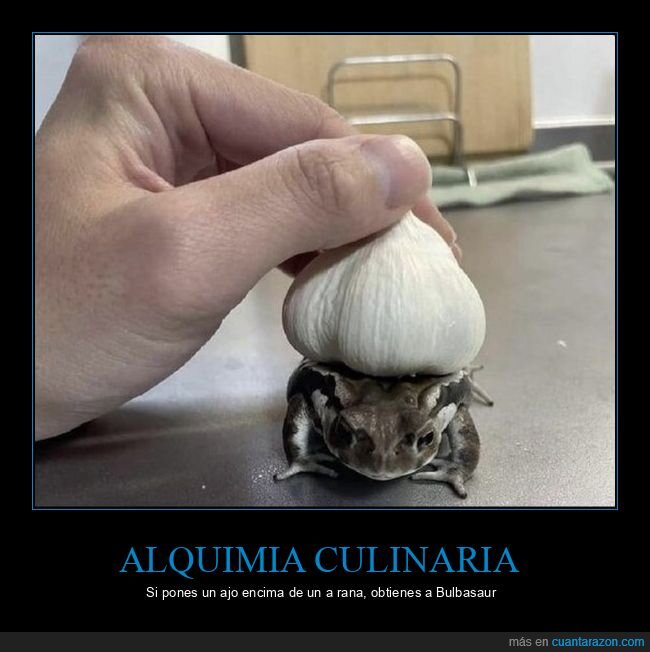 ajo,rana,cocina,transformaci&oacute;n,absurdo
