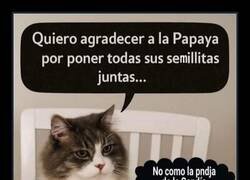 Enlace a Mucho por aprender de las papayas
