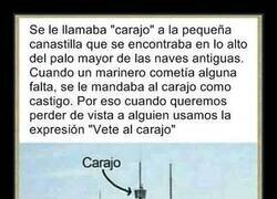 Enlace a Vete al carajo