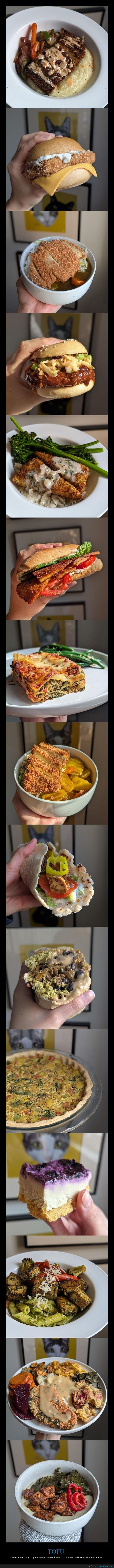 tofu,versatilidad,cocina,fracaso,ins&iacute;pido