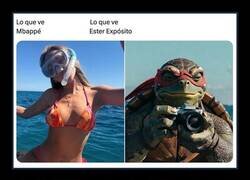 Enlace a Sigo pensando que algo esconden