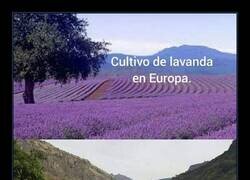 Enlace a La diferencia entre lo legal y lo lucrativo