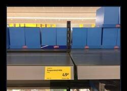 Enlace a Bastante lógico