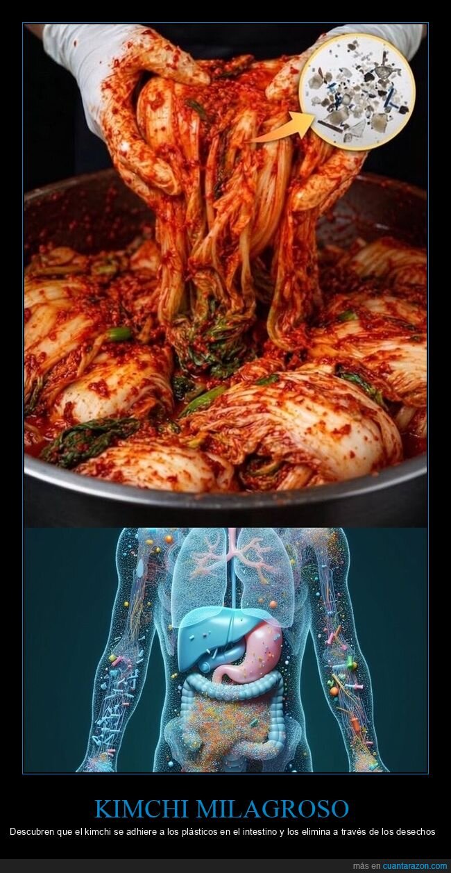 kimchi,salud,digesti&oacute;n,pseudociencia,fermentaci&oacute;n