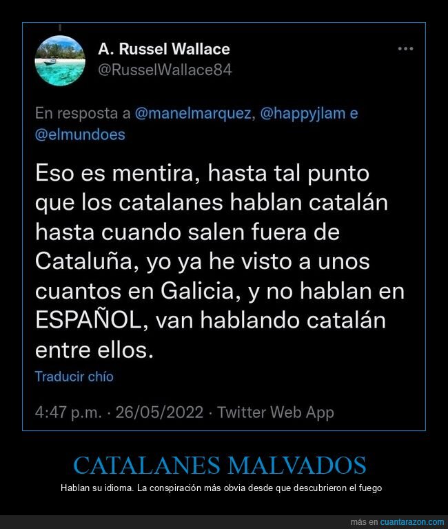 catal&aacute;n,lengua,identidad,Espa&ntilde;a,regionalismos