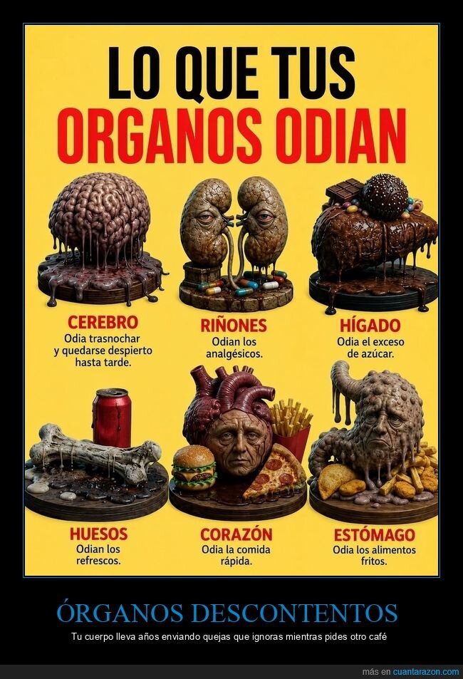 &oacute;rganos,salud,h&aacute;bitos,cuerpo,consecuencias