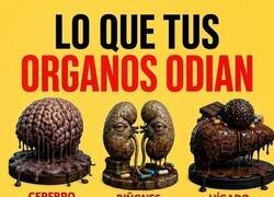 Enlace a Tus órganos en asamblea permanente