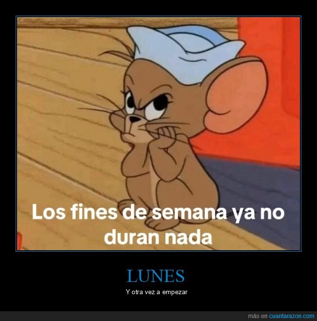 lunes,cansancio,trabajo,fin de semana,realidad