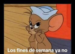 Enlace a Cuando crees que el fin de semana es tuyo pero dura cero coma