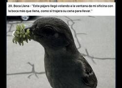 Enlace a 20 descubrimientos que no eran lo que esperabas