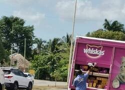 Enlace a Te quiero mucho señor de whiskys que detuvo su ruta para darle alimento al perrito