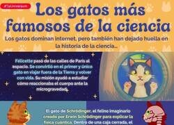 Enlace a Hablemos de los gatos más famosos de la ciencia