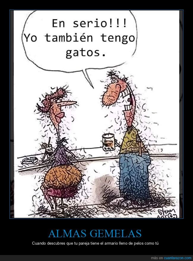 relaciones,compatibilidad,caos,pareja,destino