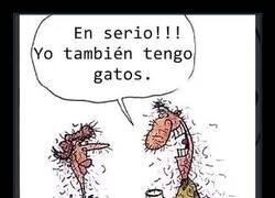 Enlace a Nos merecemos mutuamente