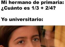 Enlace a Cuando tu cerebro universitario conoce a las matemáticas de primaria