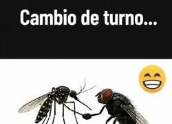 Enlace a Relevos de tortura