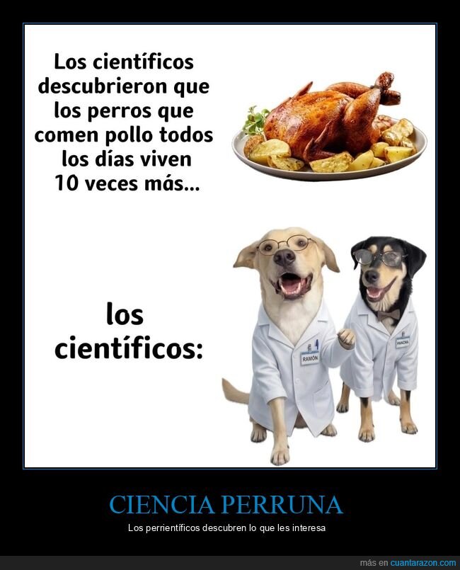 perros,pollo,cient&iacute;ficos,longevidad,mascota
