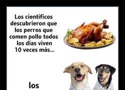 Enlace a No son tan tontos como me creía