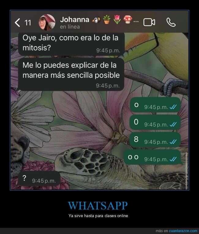 biolog&iacute;a,malentendido,WhatsApp,educaci&oacute;n,conversaci&oacute;n