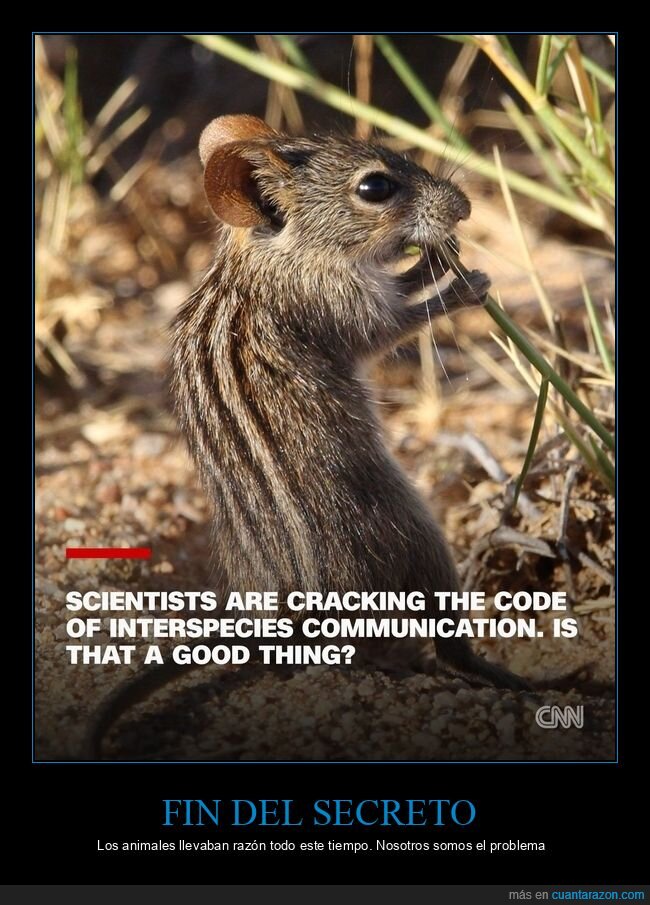 comunicaci&oacute;n animal,lenguaje,ciencia,descubrimiento,naturaleza